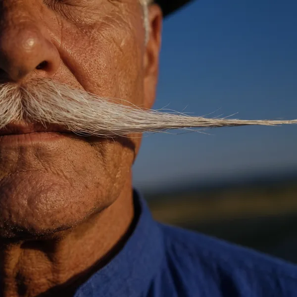 AI-generated close-up of Kalman's mouth and his long white moustache against the evening sky